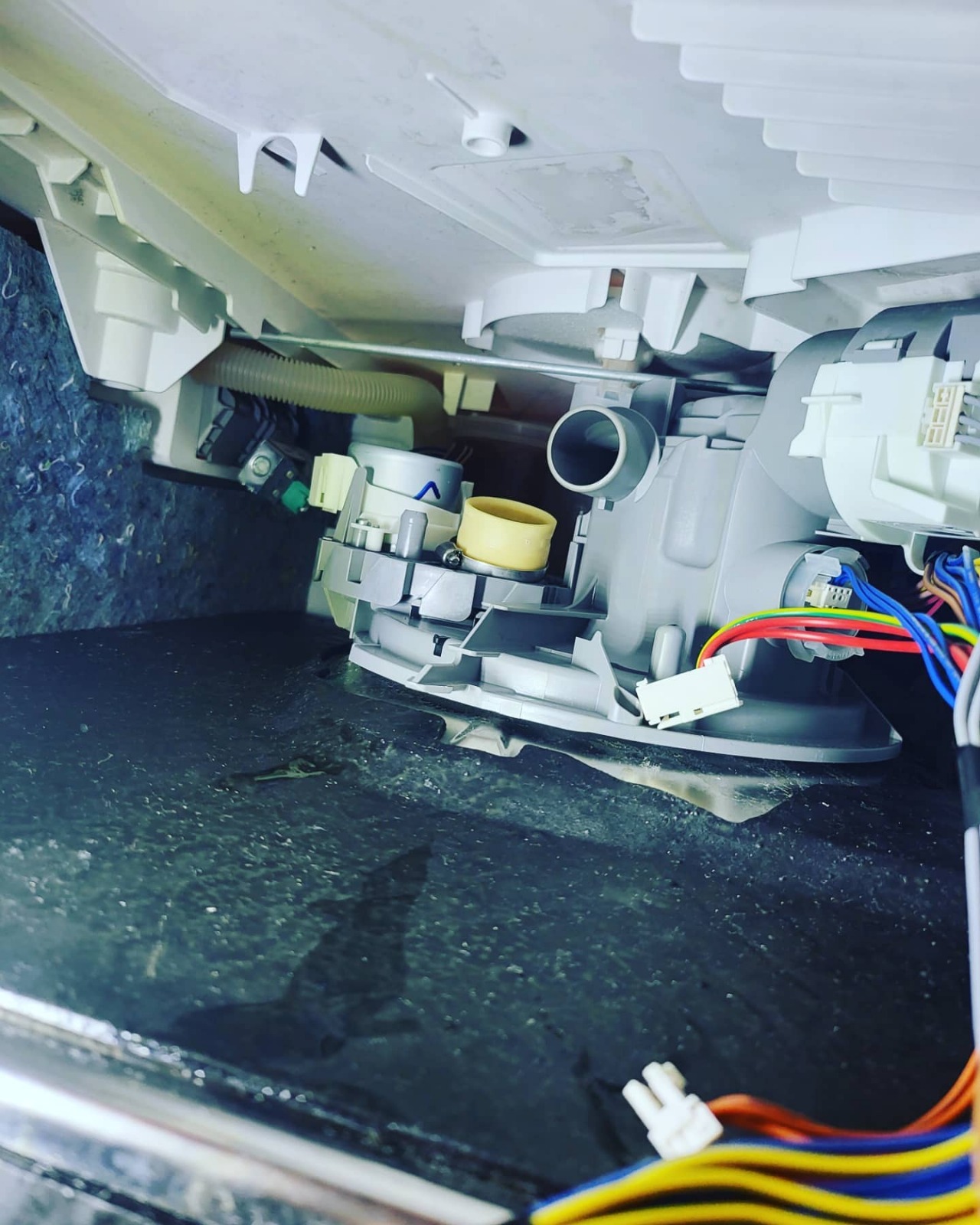 WhatsApp Image 2025-10-22 at 10.42.11 PM (1)